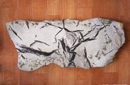 天津蓟州的独特宝藏：13亿年前的奇石